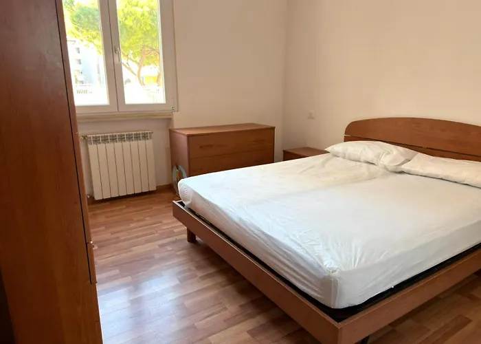 Paron * بيبيوني